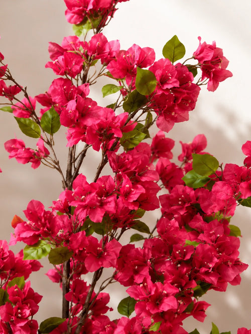 Artificial Bougainvillea Plant | 900 Flowers ||180 cm| Basic Pot