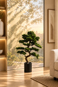 Premium Artificial Bonsai Plant | 88 cm | With Basic Pot