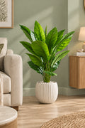 Artificial Jiamei Tourist Banana Plant | 100 cm | With Basic Pot